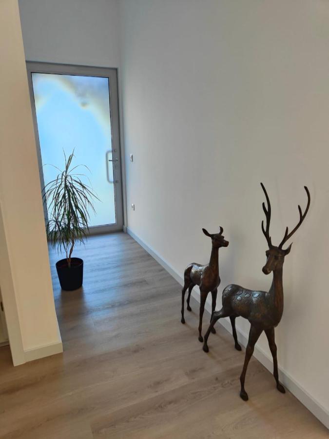 Quinta De Basto House Ξενοδοχείο Felgueiras Εξωτερικό φωτογραφία